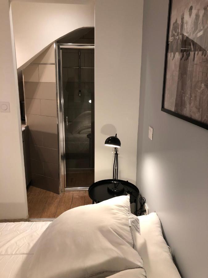 La Bastide 1 A 6 Personnes En Centre Ville Каркассон Экстерьер фото